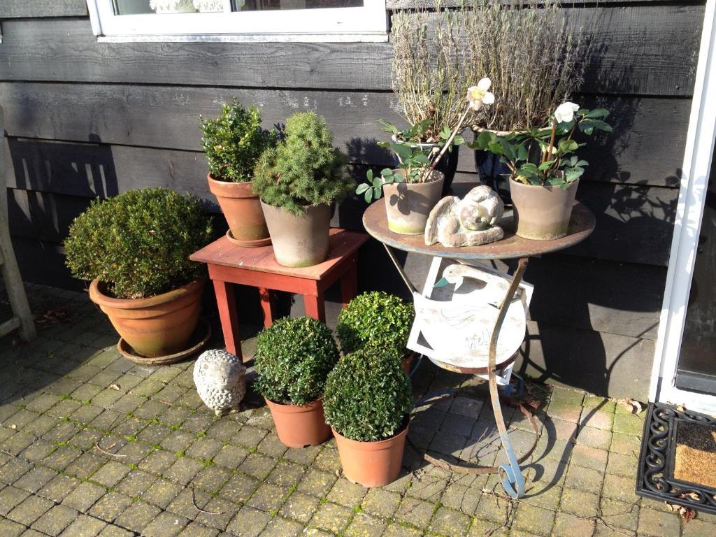 D'Ouwe Stal Bed & Breakfast Axel Rom bilde
